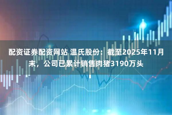 配资证券配资网站 温氏股份：截至2025年11月末，公司已累计销售肉猪3190万头